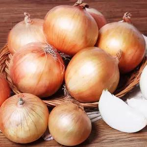 단단한 햇양파 3kg/5kg