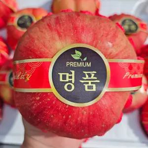 장수사과선물세트 선물용사과5KG 1박스 8595214