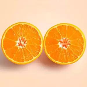 [농할][부전시장]당도선별 제주 감귤 노지 귤 타이벡 1KG 2KG