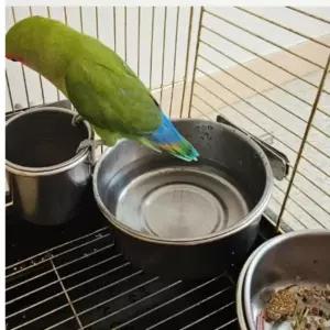 걸이형 스텐 앵무새 모이통 중 앵무새먹이통 새물통걸이형