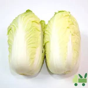 알배기배추 (쌈배추) 8Kg (특)