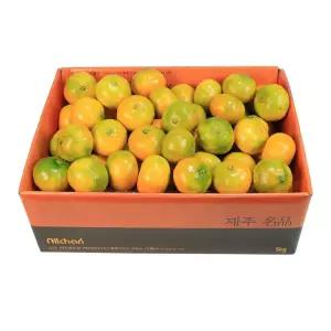 제주 노지 감귤 선물세트 5kg 10kg 8584397