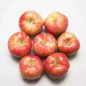 홍로햇 사과 사과 4kg 19~21과 중소과/가정용/미색 상처과
