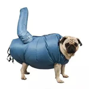 반려동물 전용 목욕 드라이룸 강아지 고양이 드라이기 강아지건조기 고양