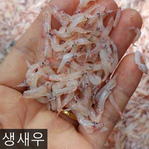 김장용 생새우 김장새우 1kg 국산  급냉 상품 동백하