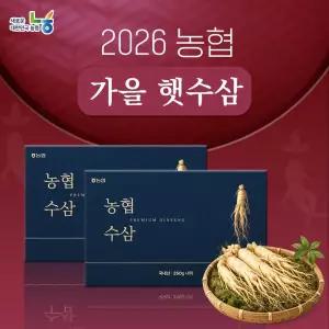 [6년근특등급] 개성인삼농협 햇 수삼 1kg(250gX4팩)