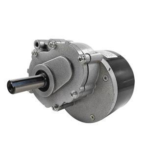 MY1016Z 250W 24V 영구 자석 브러시드 DC 모터 75rpm/120rpm 44mm 샤프트 17mm 직경 휠체어용