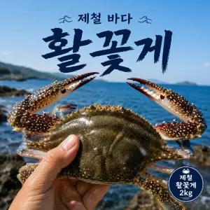 가을 제철 활꽃게 2kg 3-6미 싱싱한 생물 꽃게