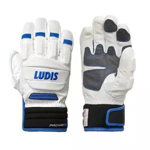 [하프클럽/펠리체]루디스 PRO GRIP SR 장갑 WHITE/BLUE