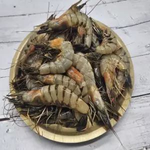 연안 급냉 자연산 대하 1kg