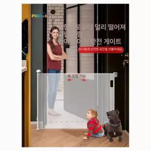 롤스크린 롤 강아지 애견 끌래망스 실사 일반원단