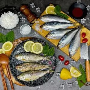 연안 급냉 전어 500g 국내산 냉동 통전어 전어구이 조림용