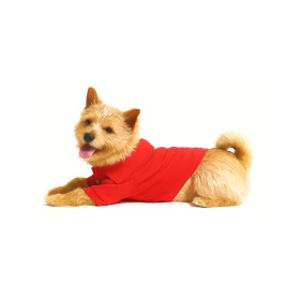 25SS HAZZYS PUPPY 레드 스타일 강아지 의류 HZLG5E101R2