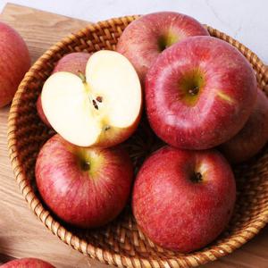 경북 사과 고당도 특품 꿀사과 5kg 중과 (21-23과)