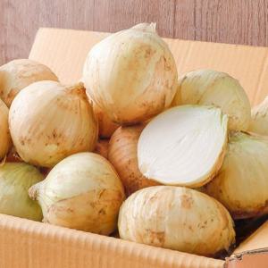 무안 유기농 양파 5kg(중대 혼합)