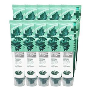 SIAM COSMECEUTICAL 덴티스테 플러스화이트 프로 치약 100g 미백도움 10개