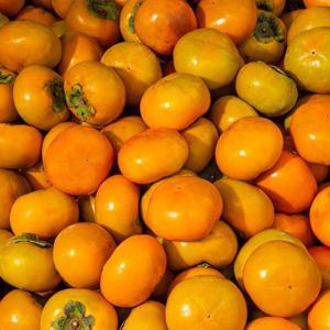 26년 제철 부유단감 랜덤과 10kg(30-80과 내외)