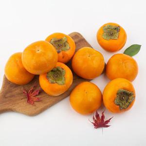 10월 제철과일 가정용 단감 랜덤과 2kg  부유 진영 상서 차량