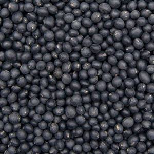 국산 서목태 약콩 500g x 2봉 l 쥐눈이콩 청약콩 검정콩 잡곡 l 지퍼팩 소포장
