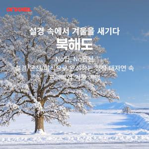 [삿포로 시내 연박+전일정 온천호텔] BEST 북해도 여행 4일(무제한 게요리+최초 펭귄산뽀 일정 추가)