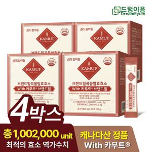 드림이음 카무트 효소 브랜드밀 곡류 발효효소 3g x 120포 4개월분