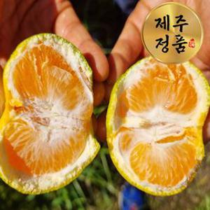 (농할30%쿠폰) 제주 하우스 귤 3kg 5kg 로얄과(S)