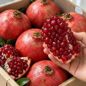 수입산 석류 새콤달콤 과즙가득 생석류 중과 1kg 2.5kg 5kg