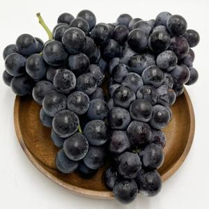 국내산 씨없는 포도 bk시들리스 포도 1kg-2kg 내외