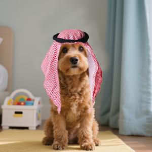 1개 애완동물 모자 머리 스카프 파티 장식 재미있는 코스튬 파티 역할 놀이 모임 사진 촬영 귀여운 고양이 모자 애완동물 장식 애완용품 액세서리 중간 크기의 고양이, 작은 토끼 및 작은 강아지에게 적합, 33Lbs 이상에는 적합하지 않음