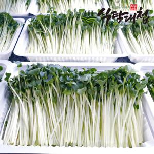 무순' 최저가 검색, 최저가 1,190원 : 쿠차 | 시간을 줄여주는 쇼핑검색 무순' 최저가 검색, 최저가 1,190원 : 쿠차 | 시간을 줄여주는 쇼핑검색