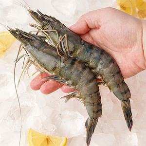 [롯데백화점]자연맛남 블랙타이거새우 1KG(500g 8미*2팩)