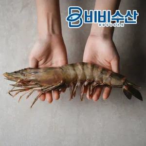 프리미엄 킹타이거새우 1미 25cm(140-179g)킹블랙타이거새우